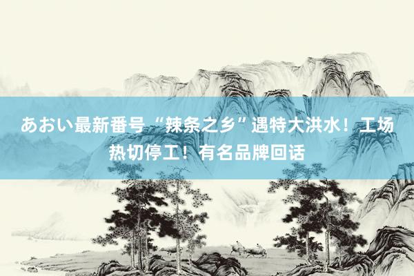 あおい最新番号 “辣条之乡”遇特大洪水！工场热切停工！有名品牌回话