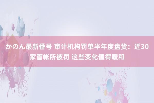 かのん最新番号 审计机构罚单半年度盘货：近30家管帐所被罚 这些变化值得暖和