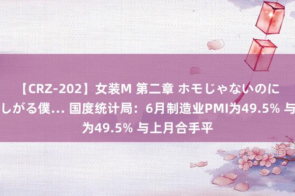 【CRZ-202】女装M 第二章 ホモじゃないのにチ○ポを欲しがる僕… 国度统计局：6月制造业PMI为49.5% 与上月合手平