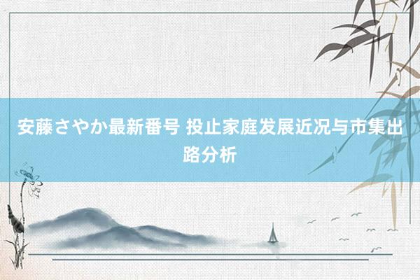 安藤さやか最新番号 投止家庭发展近况与市集出路分析