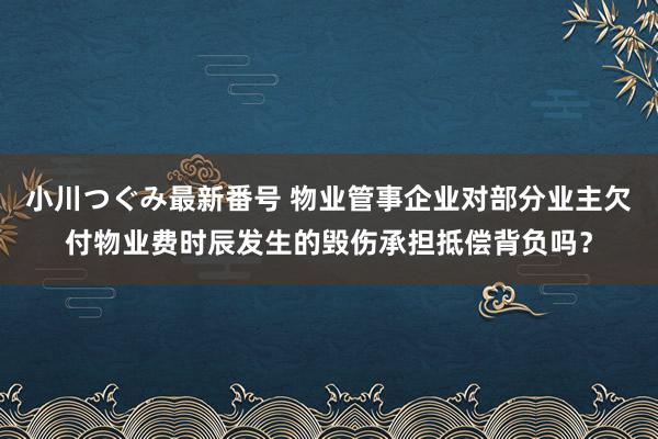 小川つぐみ最新番号 物业管事企业对部分业主欠付物业费时辰发生的毁伤承担抵偿背负吗？