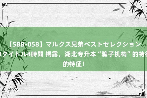 【SBB-058】マルクス兄弟ベストセレクション50タイトル4時間 揭露，湖北专升本“骗子机构”的特征！