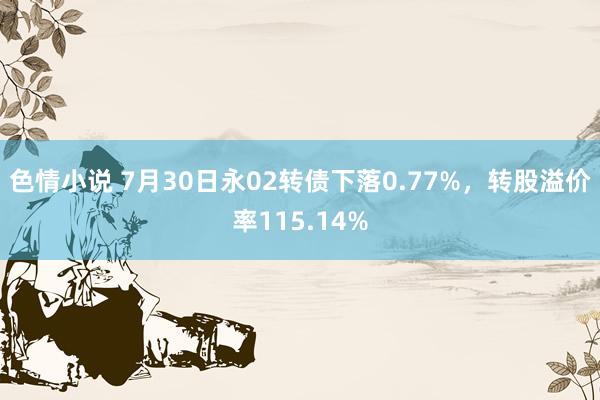 色情小说 7月30日永02转债下落0.77%，转股溢价率115.14%