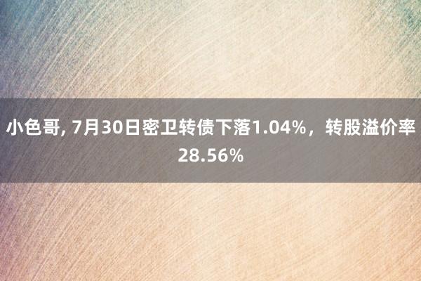 小色哥， 7月30日密卫转债下落1.04%，转股溢价率28.56%