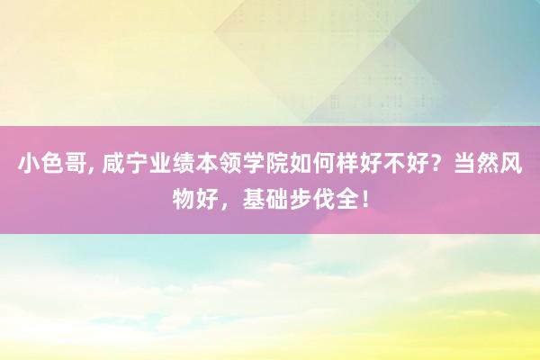 小色哥， 咸宁业绩本领学院如何样好不好？当然风物好，基础步伐全！