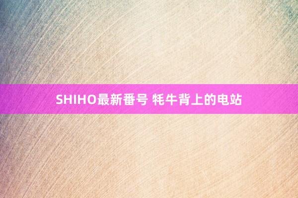 SHIHO最新番号 牦牛背上的电站