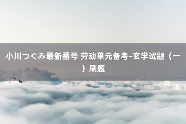 小川つぐみ最新番号 劳动单元备考-玄学试题（一）刷题