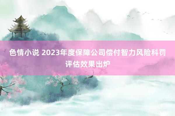 色情小说 2023年度保障公司偿付智力风险科罚评估效果出炉