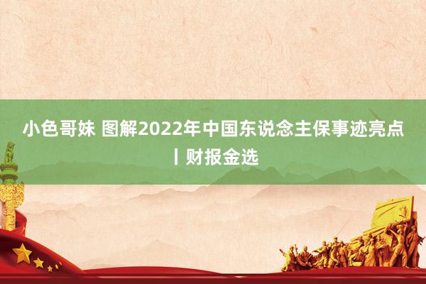 小色哥妹 图解2022年中国东说念主保事迹亮点丨财报金选