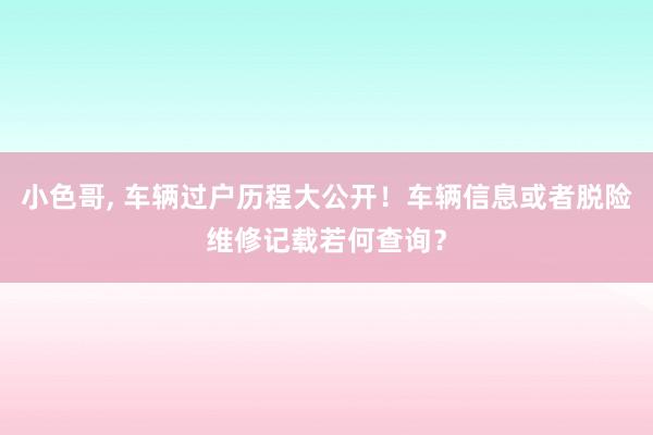 小色哥， 车辆过户历程大公开！车辆信息或者脱险维修记载若何查询？