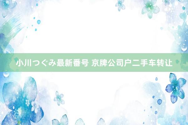 小川つぐみ最新番号 京牌公司户二手车转让