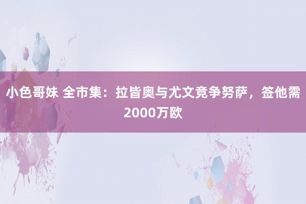 小色哥妹 全市集：拉皆奥与尤文竞争努萨，签他需2000万欧