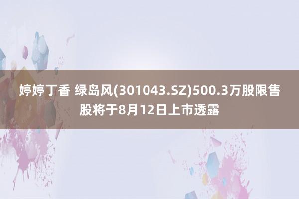 婷婷丁香 绿岛风(301043.SZ)500.3万股限售股将于8月12日上市透露