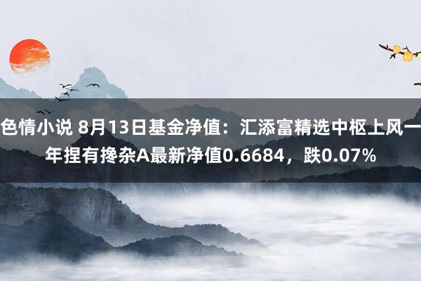 色情小说 8月13日基金净值：汇添富精选中枢上风一年捏有搀杂A最新净值0.6684，跌0.07%