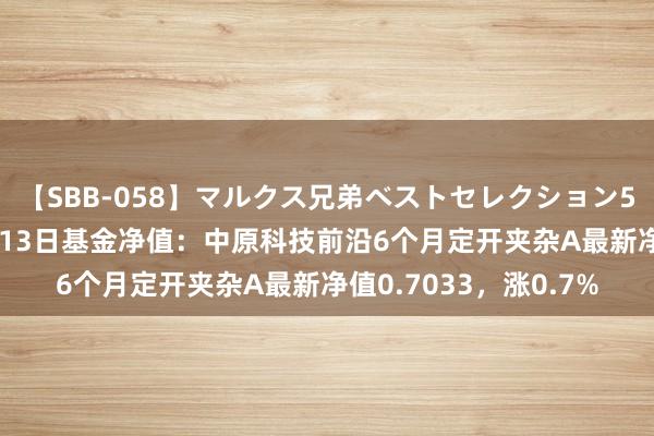 【SBB-058】マルクス兄弟ベストセレクション50タイトル4時間 8月13日基金净值：中原科技前沿6个月定开夹杂A最新净值0.7033，涨0.7%