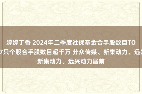 婷婷丁香 2024年二季度社保基金合手股数目TOP20：对17只个股合手股数目超千万 分众传媒、新集动力、远兴动力居前