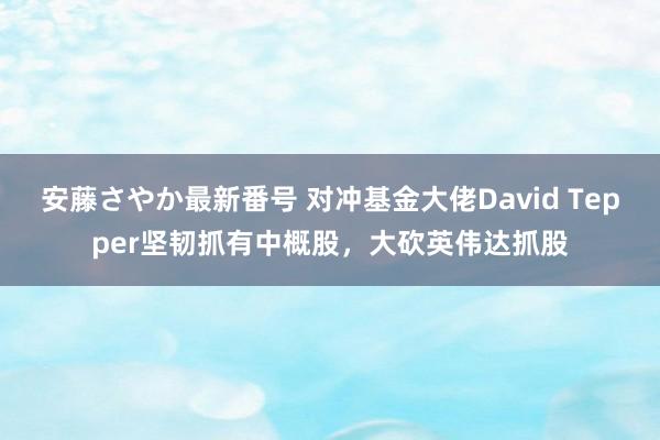 安藤さやか最新番号 对冲基金大佬David Tepper坚韧抓有中概股，大砍英伟达抓股