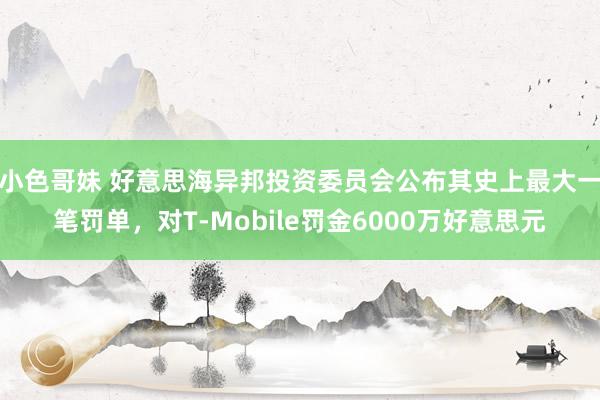 小色哥妹 好意思海异邦投资委员会公布其史上最大一笔罚单，对T-Mobile罚金6000万好意思元