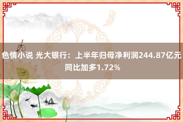 色情小说 光大银行：上半年归母净利润244.87亿元 同比加多1.72%