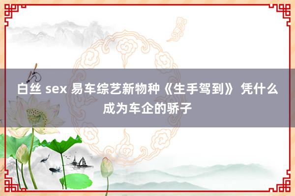 白丝 sex 易车综艺新物种《生手驾到》 凭什么成为车企的骄子