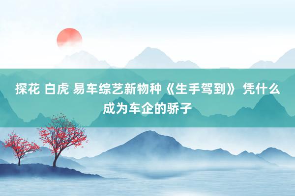 探花 白虎 易车综艺新物种《生手驾到》 凭什么成为车企的骄子