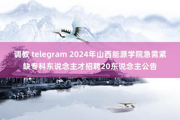 调教 telegram 2024年山西能源学院急需紧缺专科东说念主才招聘20东说念主公告